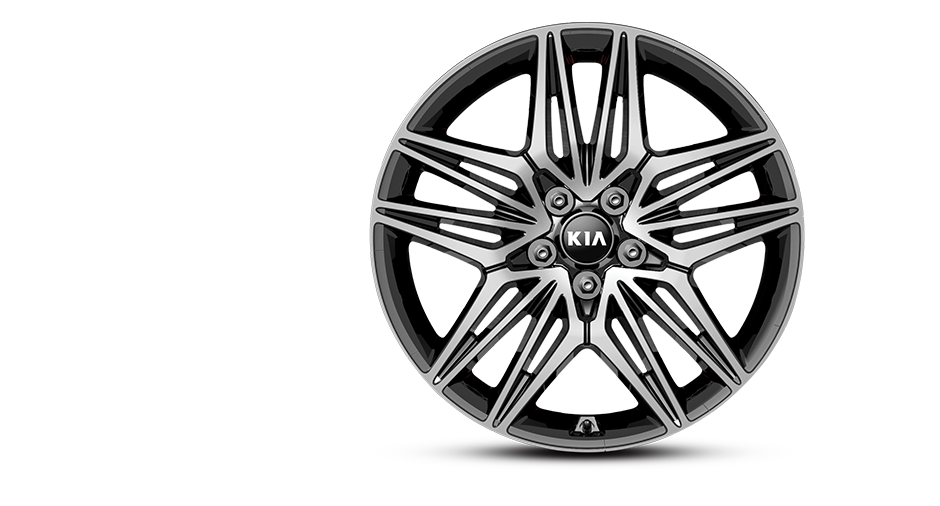 225/40R (Front)  l  255/35R (Rear)