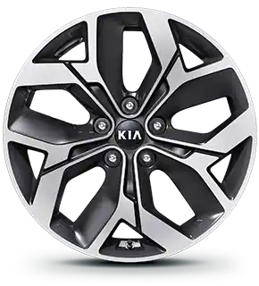 18” Alloy Wheel